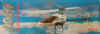 Boite_logo10.jpg (108325 octets)